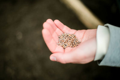 Cropped hand holding plant