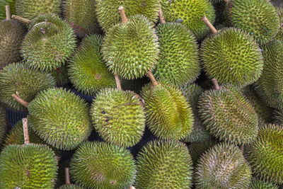 Full frame shot of fruits