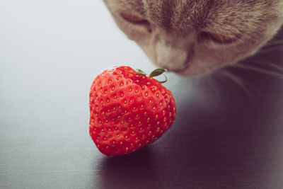 Close-up of strawberries on table against white background with nose of cat