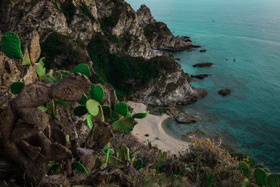 High angle view of rocks on sea shore