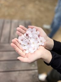 hand