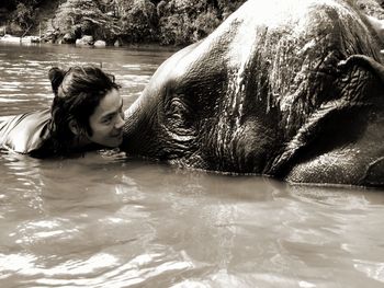 Side view of man washing elephant in lake