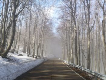 Empty road amidst trees in forest during winter