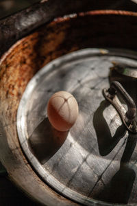 High angle view of eggs in container