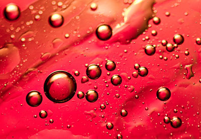 Full frame shot of water drops on leaf