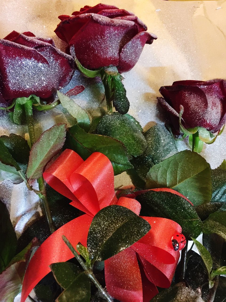 freshness, leaf, close-up, flower, fragility, red, plant, indoors, high angle view, beauty in nature, growth, water, petal, nature, pink color, wet, no people, flower head, still life, rose - flower