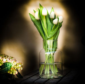 Close-up of potted plant on table