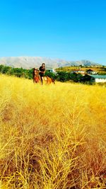 View of horse on field against clear sky