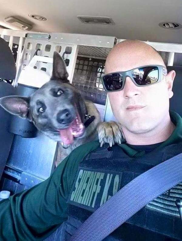 Sheriff k9