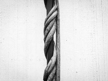 Close-up of spiral twig on pole against wall