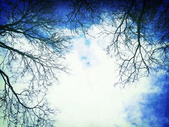 Low angle view of bare tree against blue sky