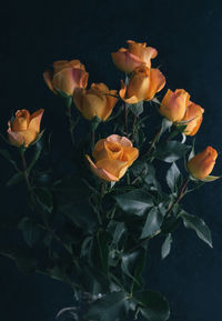 Close-up of rose bouquet