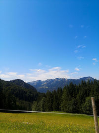 Scenic view of landscape against blue sky