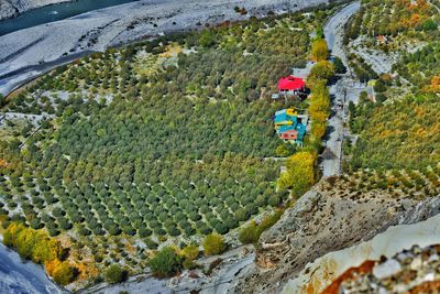 High angle view of townscape apple orchard in spiti valley himachal pradesh india