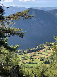 High angle view of trees on landscape against sky