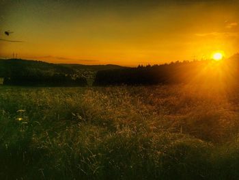 Scenic view of field against sky during sunset