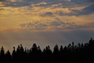 Low angle view of silhouette trees against sky during sunset