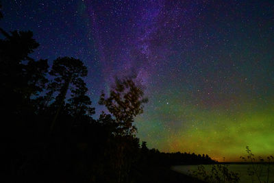 Low angle view of silhouette trees against sky at night