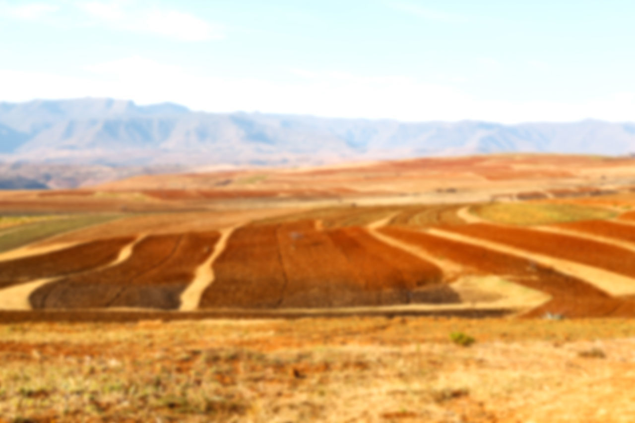 VIEW OF ROAD PASSING THROUGH DESERT