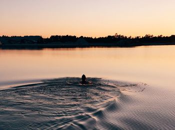 Person swimming in lake during sunset