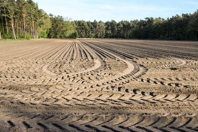 Tire tracks on field against sky