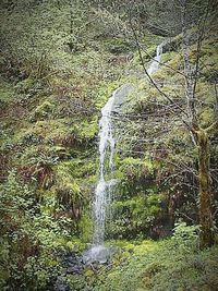 Scenic view of waterfall