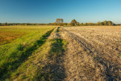 Rural road through the meadow and field, clear blue sky