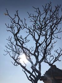 Low angle view of bare tree against sky