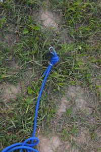 High angle view of blue toy on field