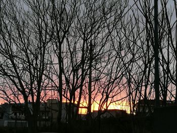 Silhouette trees on landscape against sky