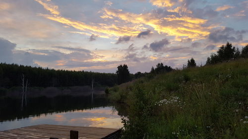 Scenic view of trees against sky at sunset