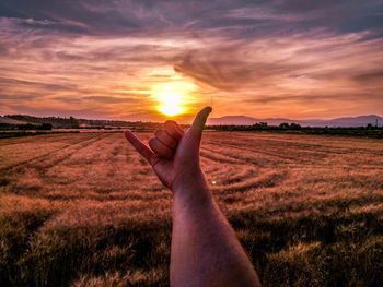 Man gesturing shaka gesture sign on field against sky during sunset