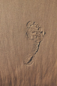 High angle view of footprints on wet sand