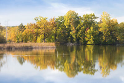 Scenic view of lake by trees against sky