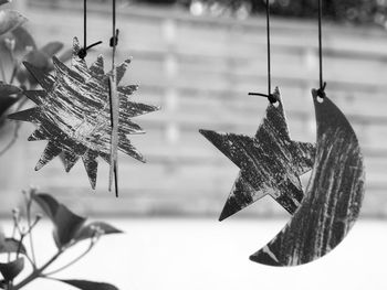 Close-up of snow on tree during winter