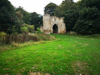 Old ruin on field against trees