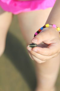 Cropped image of girl holding seashell while standing outdoors