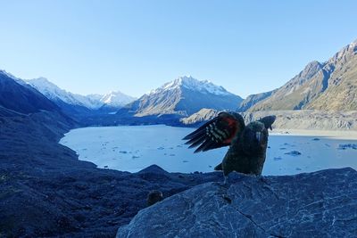 Scenic view of snowcapped mountains against clear blue sky