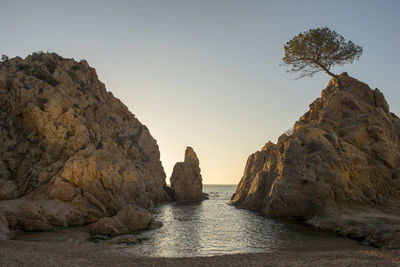 Rocks in sea against clear sky during sunset