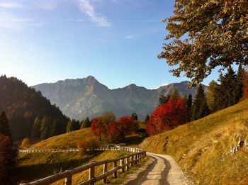 Road amidst trees and mountains against sky