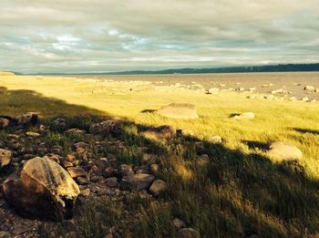 Scenic view of landscape against cloudy sky