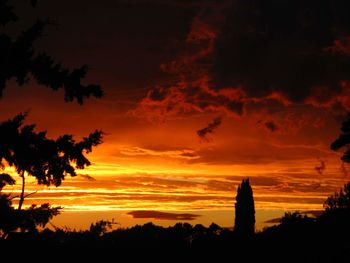 Silhouette of trees during sunset