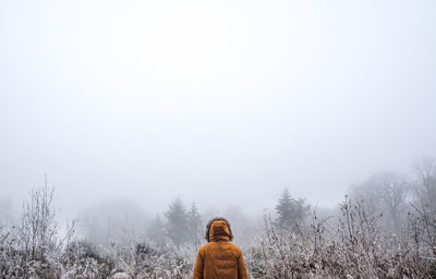 Man looking at trees against sky