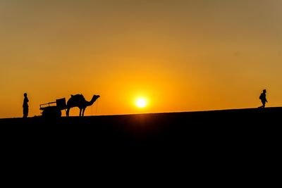 Silhouetted camel on landscape during sunset