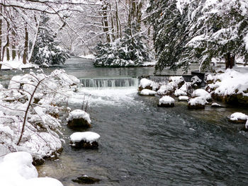 Snow covered plants by river