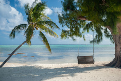 Palm trees on beach against sky