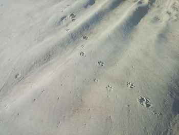 Full frame shot of sand