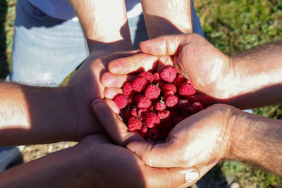 Midsection of man holding strawberries