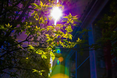 Low angle view of illuminated building