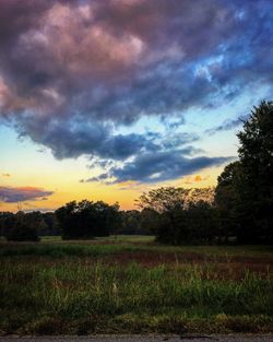 Scenic view of grassy field against cloudy sky during sunset